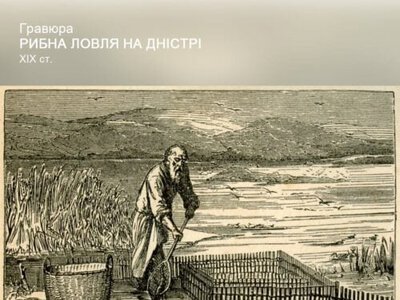 На Хмельниччині археологи виявили докази існування риб-гігантів у місцевих річках