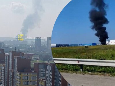 Вивірена стратегія: який вплив удари по Wildberries матимуть на економіку Росії