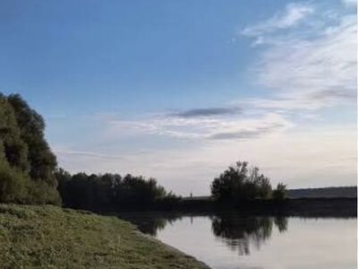 В Україні у неділю майже без опадів, вдень прогріє до 29°С