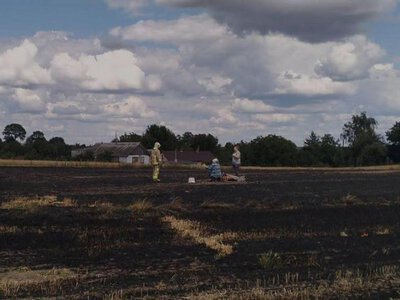 На Дубенщині під час пожежі сухостою загинула літня жінка