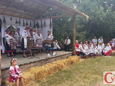 Сватання, весільні пісні й частування: на Житомирщині відтворили старовинне українське весілля