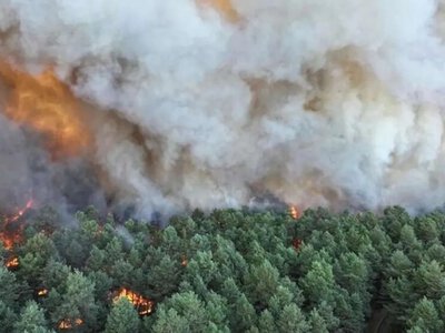 У Франції через масштабну лісову пожежу евакуювали 220 тисяч людей