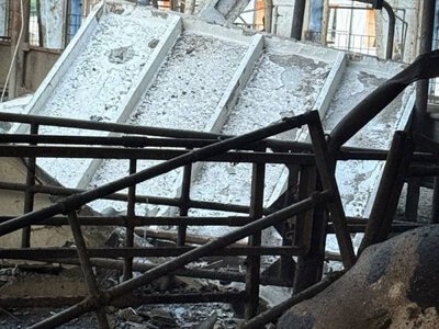 Росія атакувала дронами молочну ферму на Сумщині, загинули корови