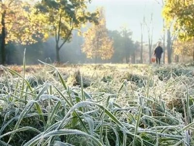 До -2,3 градуса вже у серпні: синоптики попередили про можливі заморозки в Україні