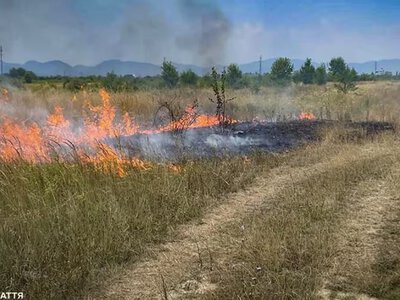 На Закарпатті попереджають про надзвичайну пожежну небезпеку
