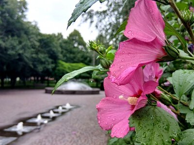 Дощ, хмари та спека: прогноз погоди у Кам’янському на 27–31 липня