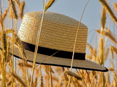 Погода: як розпочнеться тиждень і коли прийде спека +40° — PMG.ua