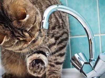 У Києві вода може подорожчати більш ніж удвічі: який тариф прогнозують