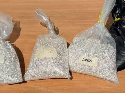 На кордоні з Угорщиною у рейсовому автобусі виявили 20 кг срібла — PMG.ua