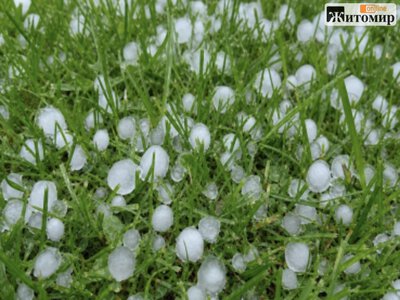 На Житомирщині до +32°: увечері прогнозують грози, град і шквали