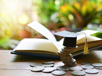 Карпатський університет оголосив стипендії по 500 доларів для 14-ти вступників