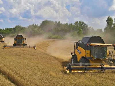 Жнива на Сумщині: зібрано 15% ранніх зернових
