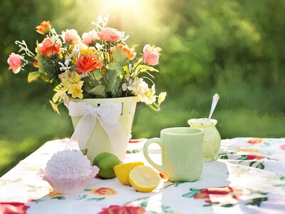 Дощі зміняться спекою до +38°C: якою буде погода в Україні цього тижня