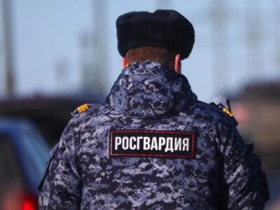 У Санкт-Петербурзі силовики проведуть рейди для виявлення радикальної молоді