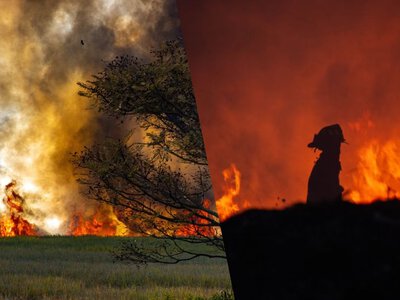 На Францію та Іспанію очікують важкі часи: вже 300 000 людей евакуювали через пожежі