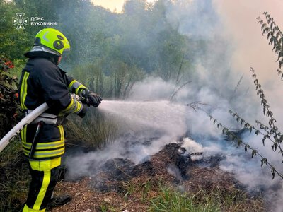 За добу на Буковині рятувальники ліквідували чотири пожежі та прибрали дерево з дороги