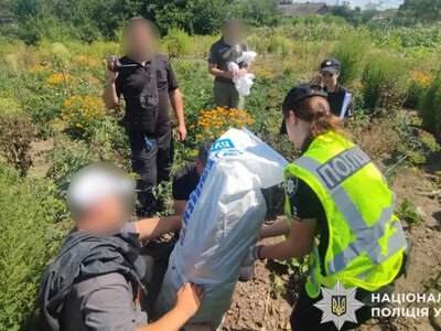 Вирощувала коноплю та мак на городі: на Камʼянеччині поліція викрила селянку з нарковмісними рослинами