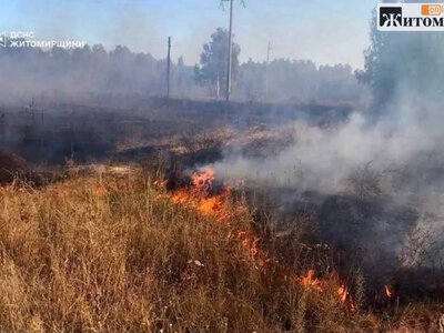 10 разів за останню добу рятувальники Житомирщини ліквідовували пожежі сухостої