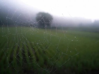 Холодний фронт і штормовий вітер: Наталка Діденко попередила про різку зміну погоди в Україні 28 липня 