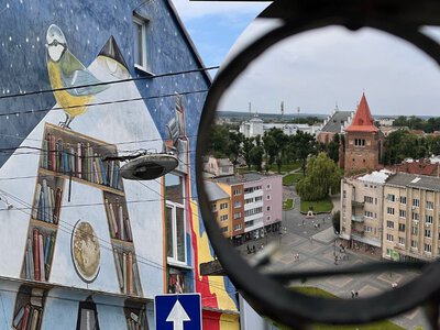 Гастрономічна подорож Львівщиною: що обов'язково варто з'їсти у Трускавці, Дрогобичі й Бориславі