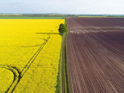 Не все те золото, що земля: як довго доведеться виходити в кеш?