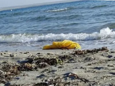 Чорне море після війни: Україна разом із міжнародними партнерами розробляє нову систему захисту морських екосистем