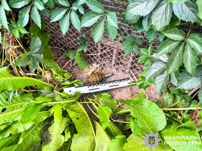 У Рівненському районі під час виклику про домашнє насильство поліцейські виявили бойову гранату