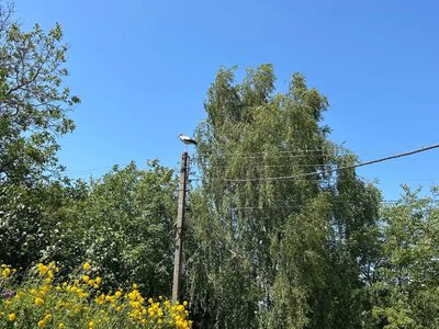 Прогноз погоди на Хмельниччині 28 липня