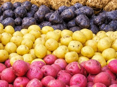 Жовта, біла чи червона? Експерти пояснили, яка картопля підійде саме вам