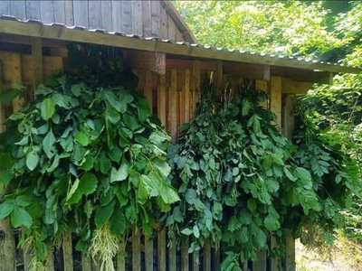 Підготовка до зими Карпатський біосферний заповідник