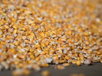 РФ атакувала цивільне судно з кукурудзою в порту Одещини