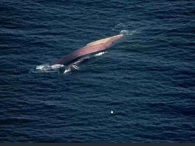 На Одещині запровадили моніторинг акваторії Чорного моря після того, як під воду пішло атаковане рф судно Golden Leo