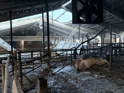 Російські війська обстріляли молочну ферму на Сумщині