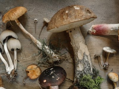 Ейнштейн їв цей продукт тричі на день: чому вчений так його полюбив