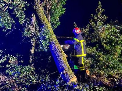 Буковиною пронеслася злива: повалило дерева