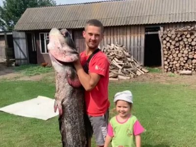 У річці Стир спіймали гігантського сома (Фото)