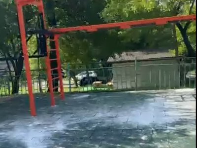 Група підлітків у Чернівцях пошкодила спортивний майданчик на території школи