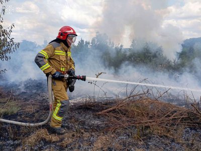 На Тернопільщині за добу загасили три пожежі сухої трави
