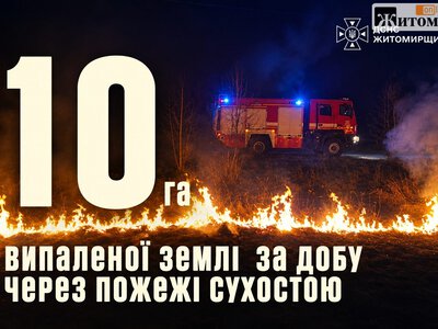 На Житомирщині зафіксували 20 пожеж сухої трави за добу: вигоріло понад 10 гектарів