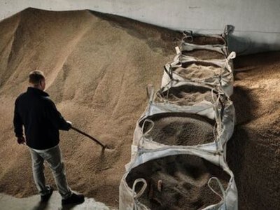 Українське зерно активно йде сухопутними маршрутами: за п’ять днів експорт склав 268 тис. тонн