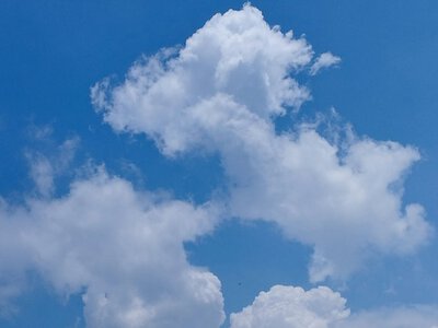 У середу в Україні буде сухо, вдень до +22 ... +31 °С