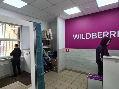 Дерипаска заговорив про крах Wildberries: чим це загрожує всій Росії