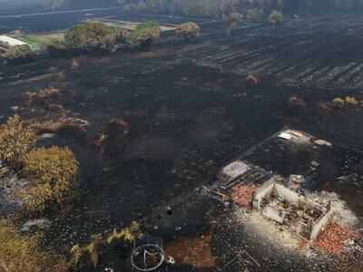 Лісові пожежі у Франції наближаються до заводів з виробництва ракет