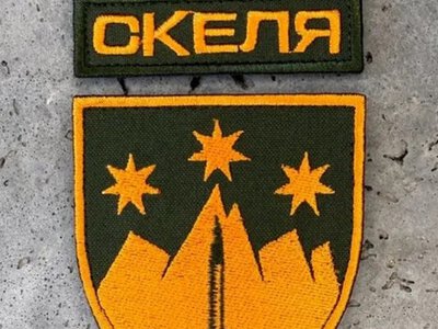 Насильство в полку Скеля: двом військовим повідомили про підозру за побиття побратимів (ВІДЕО)