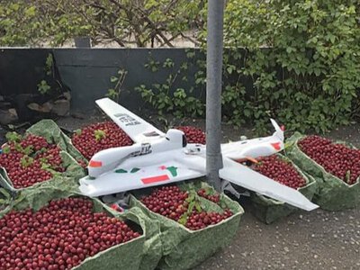 Російський уряд залучає ВТБ до порятунку Wildberries після атак українських дронів