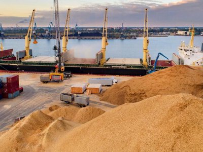 Зерно нікуди вивозити: як блокування морського експорту змінює майбутнє українського агросектору