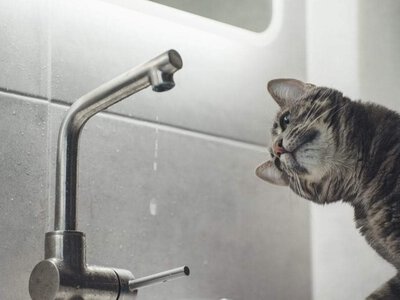 У частині Львова місяць не буде гарячої води: перелік адрес
