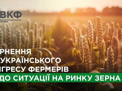 Фермери б’ють на сполох: дефіцит зерносховищ загрожує врожаю