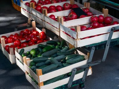 Продуктові ярмарки у Києві 29 липня: де сьогодні можна купити фермерські продукти