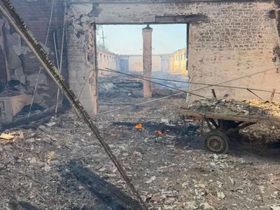 Росіяни вчергове атакували кінний завод у Запоріжжі: згоріли стайня та сінник